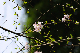image0245