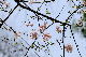 image0246