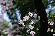 image0253