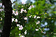 image0254