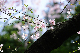 image0255
