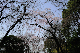 image0258