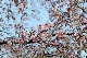 image0266
