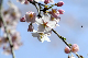 image0270