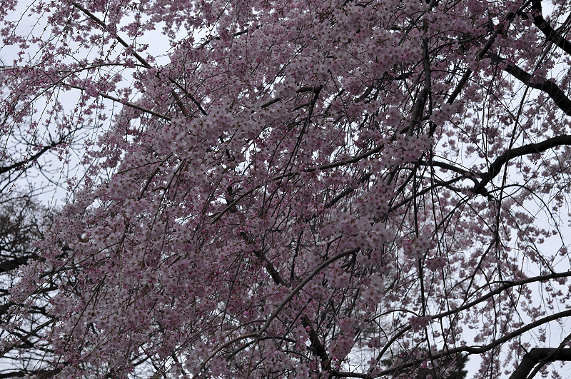 image0128