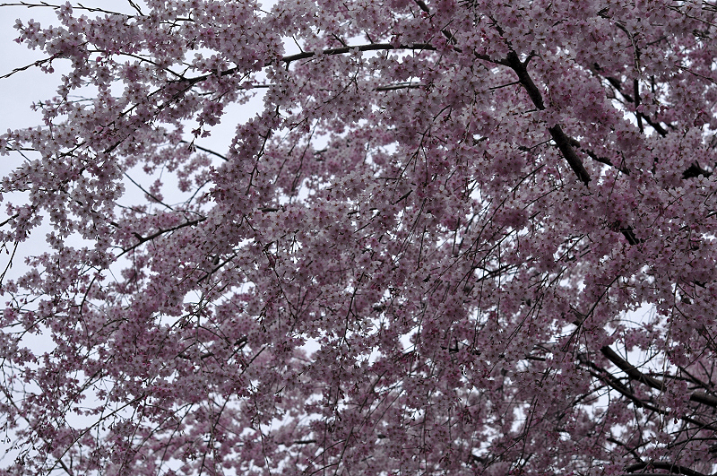 image0129