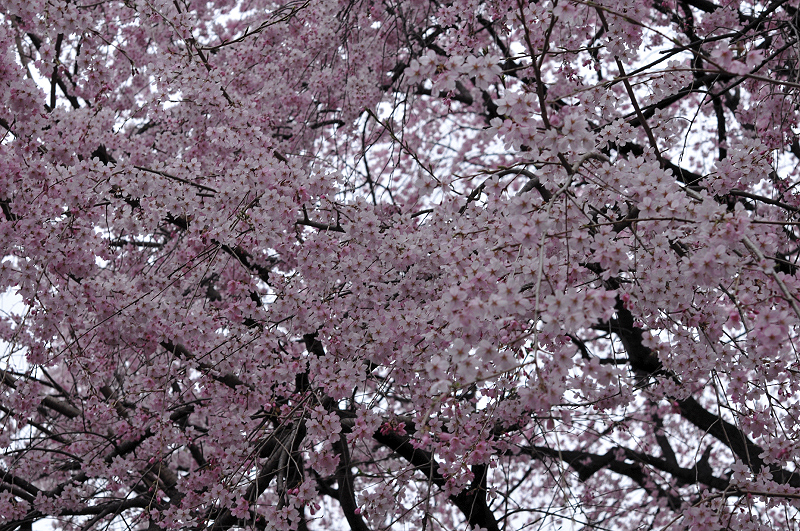 image0130