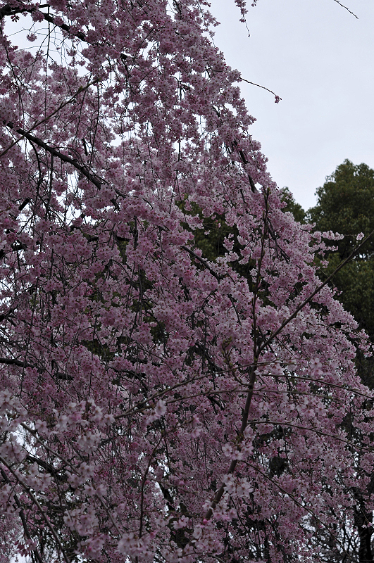 image0132