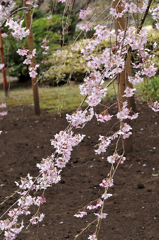 image0133
