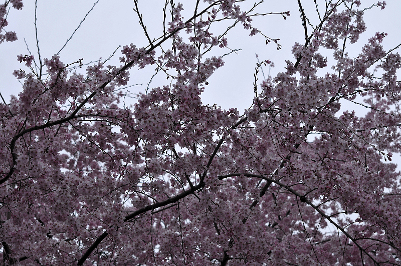 image0134