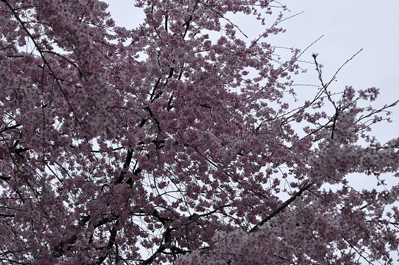 image0135