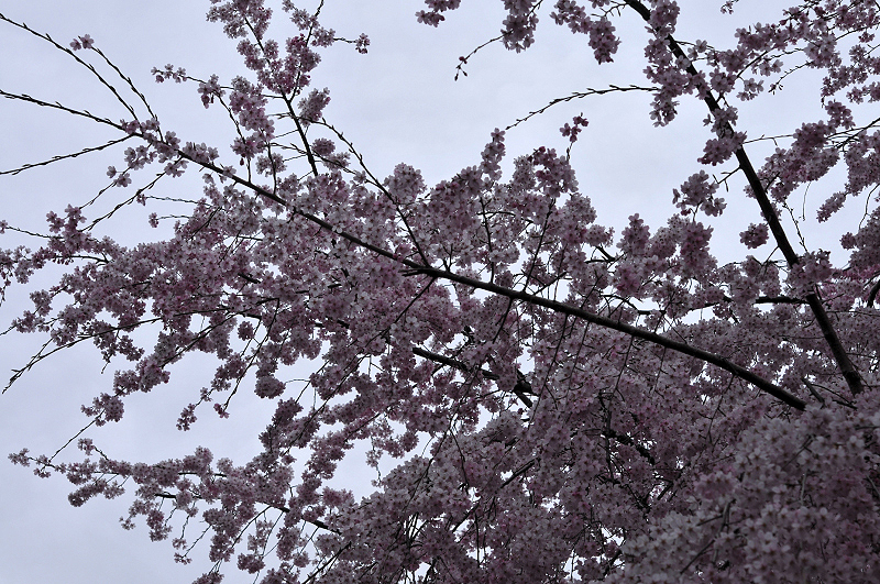 image0137