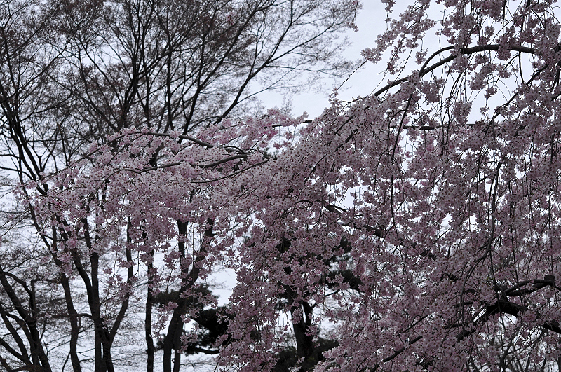 image0139