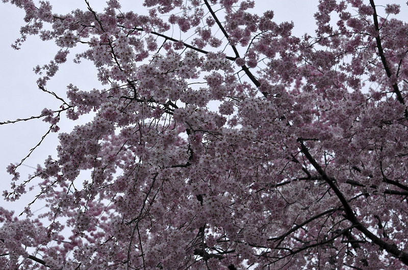 image0143