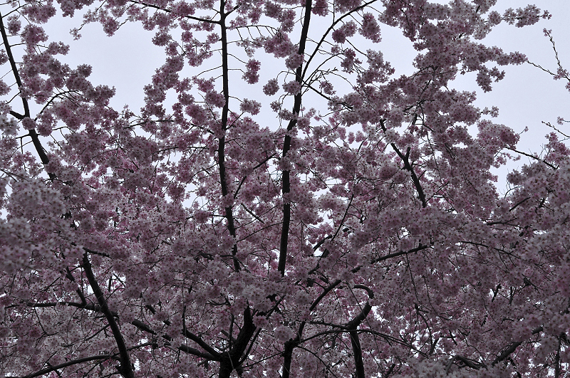 image0144