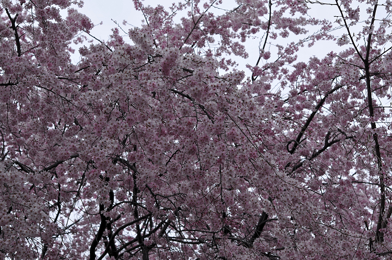 image0145