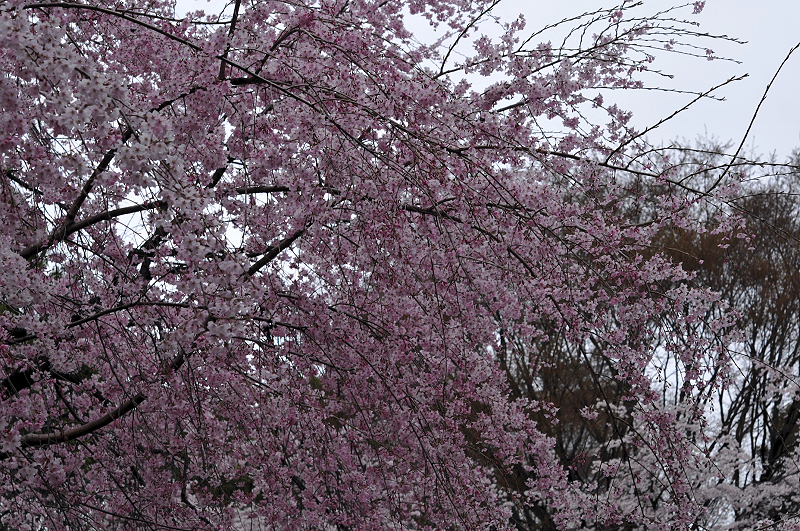 image0146