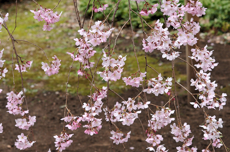 image0148
