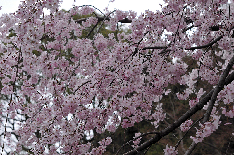 image0150