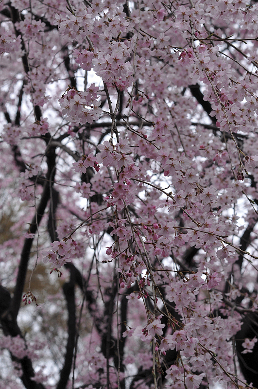 image0151