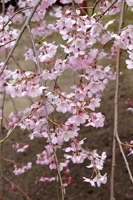 image0153