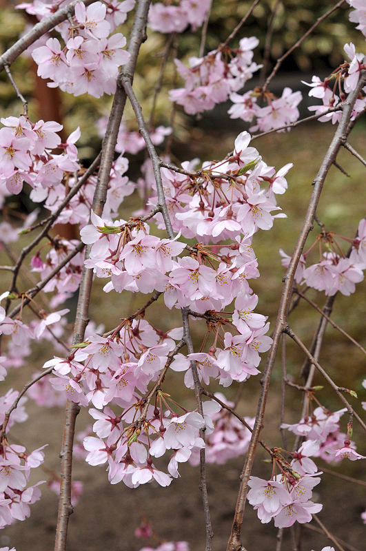 image0154