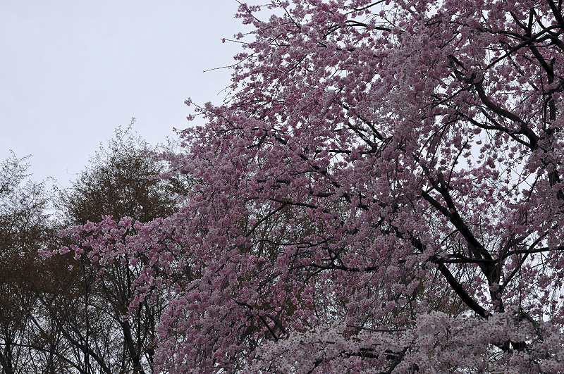 image0156