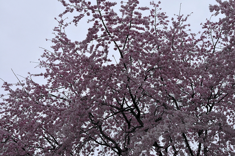 image0157