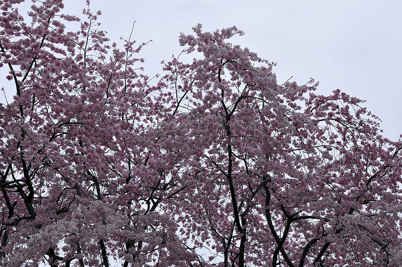 image0158