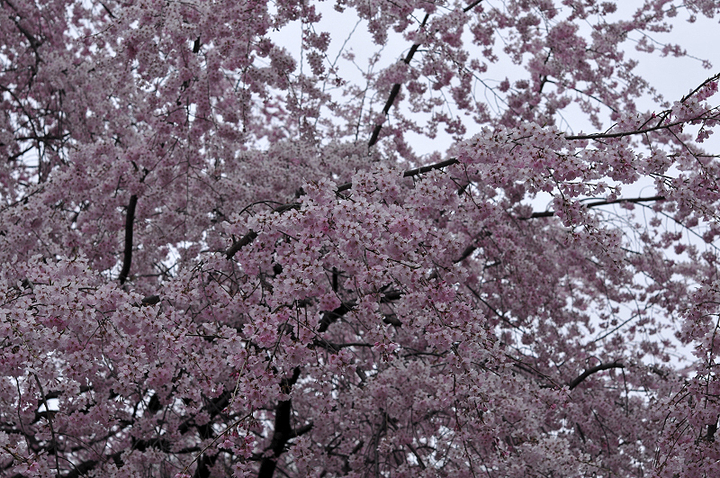 image0159