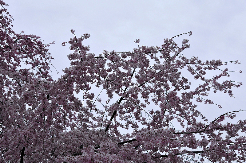 image0160