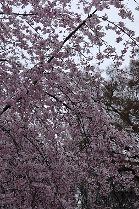 image0161