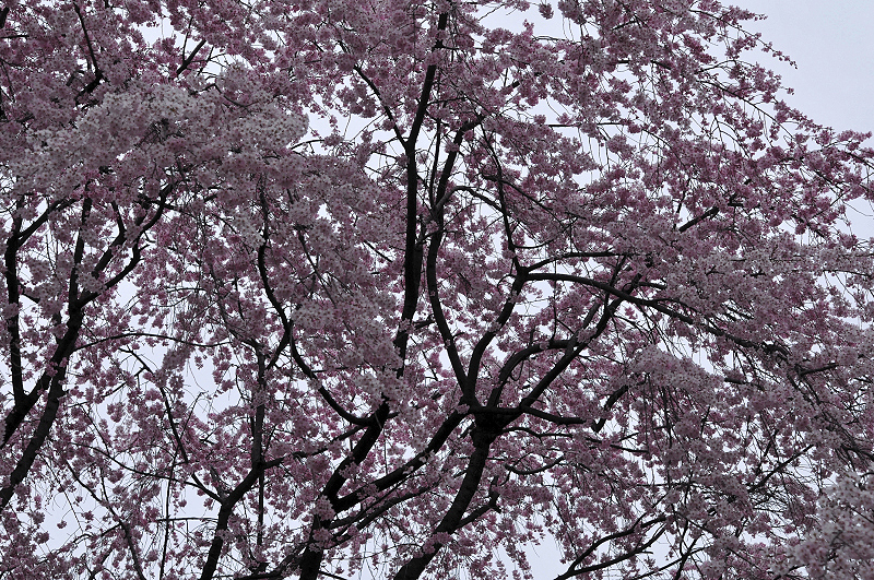 image0166