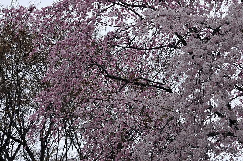 image0168