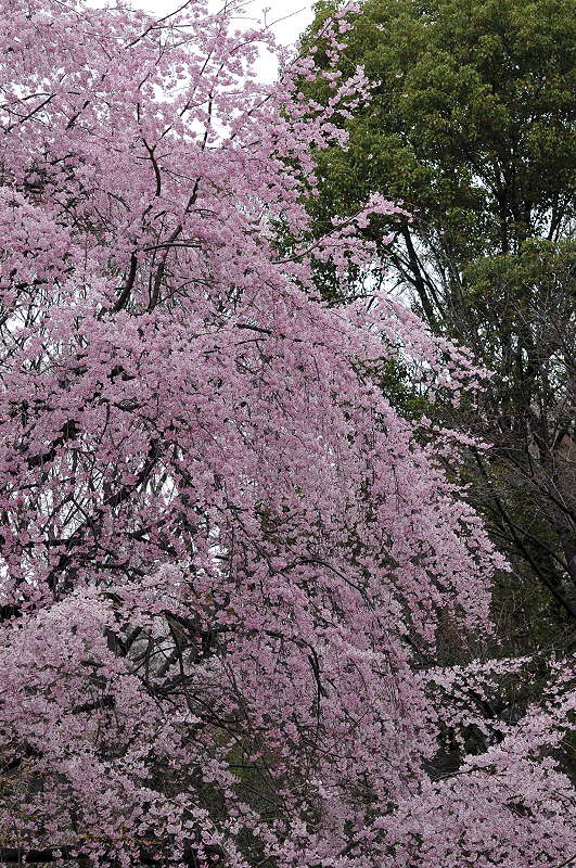 image0170