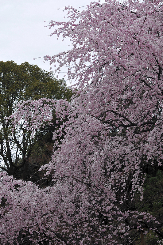 image0171