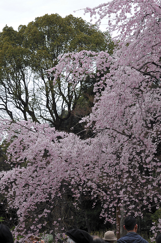 image0172