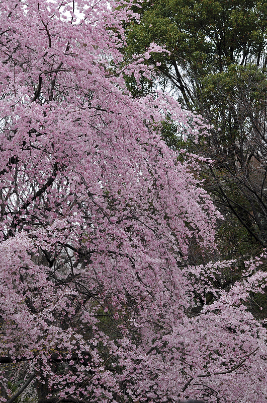 image0173