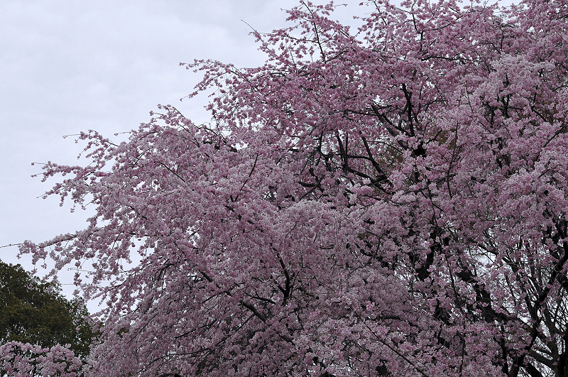 image0174