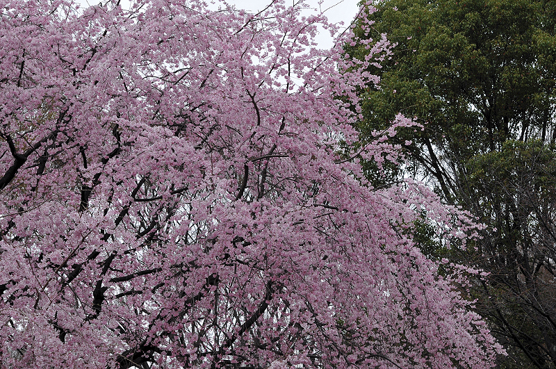 image0176