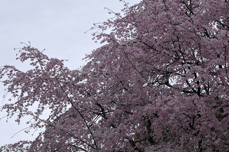 image0177
