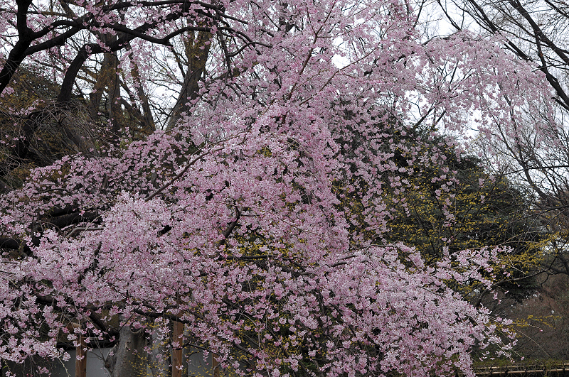 image0179