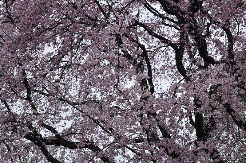 image0180
