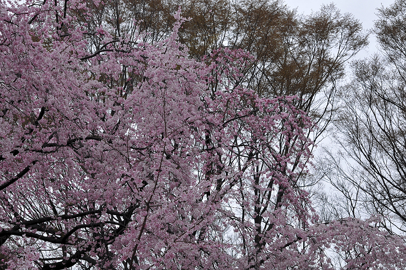 image0182