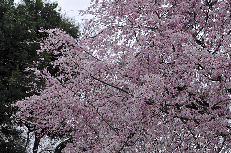 image0183