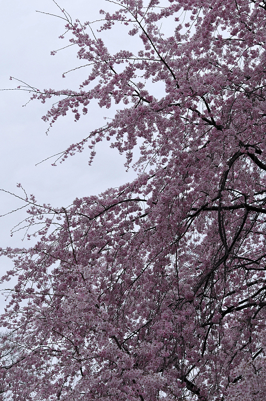 image0184