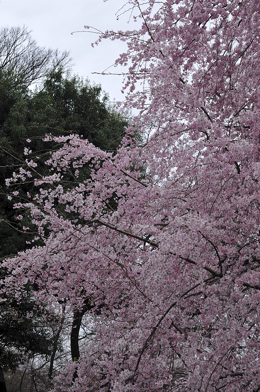image0185