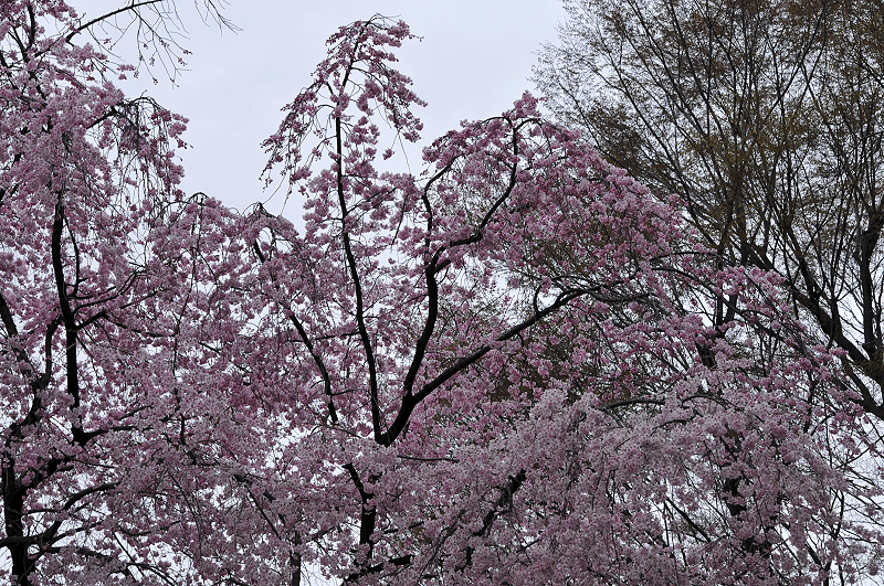 image0187