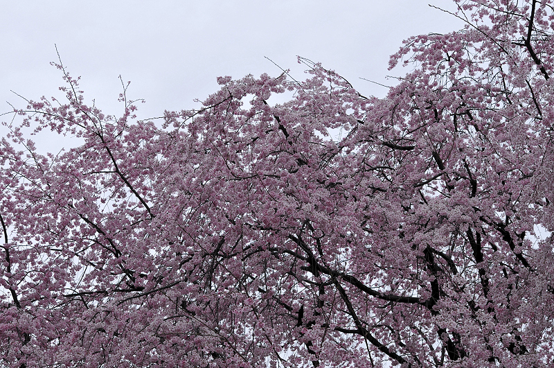 image0188