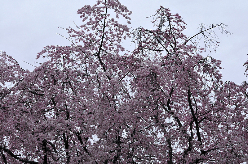 image0189